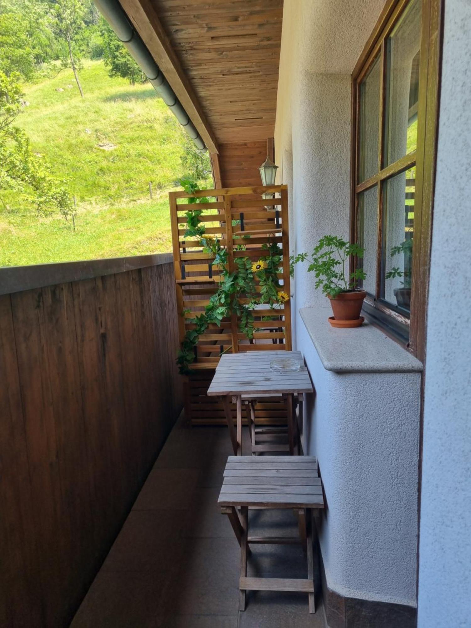 Apartments Pod Macesnovo Streho Solčava Eksteriør bilde