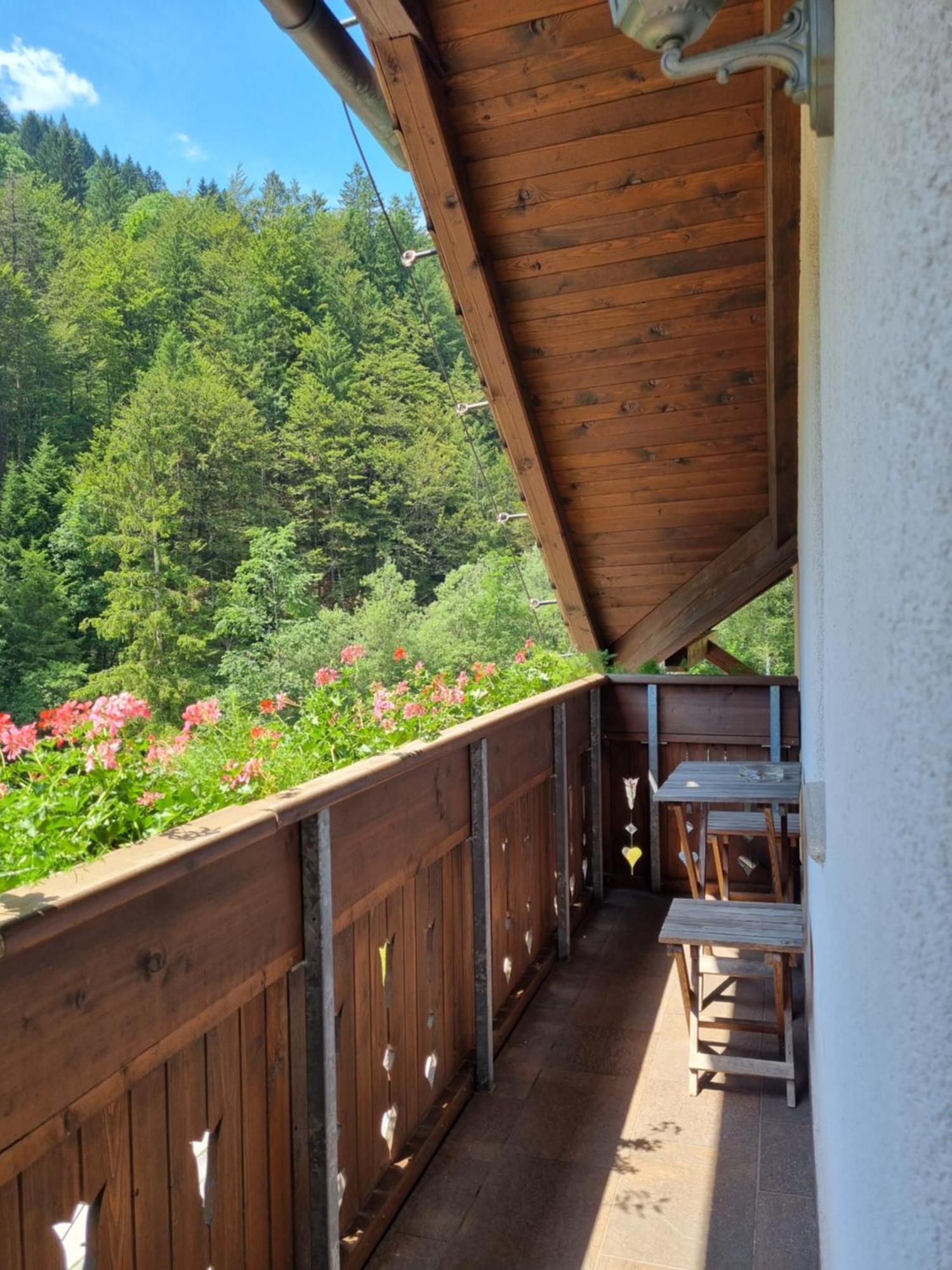 Apartments Pod Macesnovo Streho Solčava Eksteriør bilde