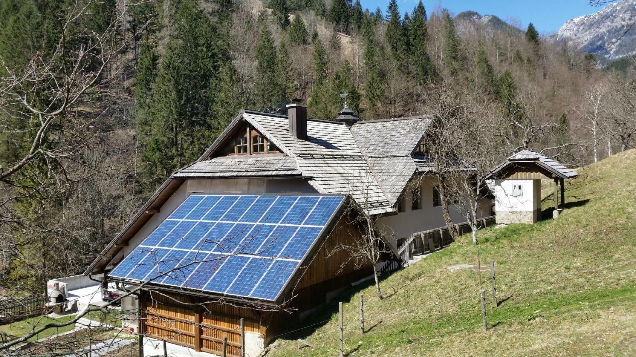 Apartments Pod Macesnovo Streho Solčava Eksteriør bilde